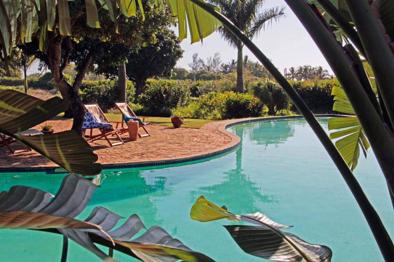 Ancha'S Oasis Hotel มาปูโต ภายนอก รูปภาพ