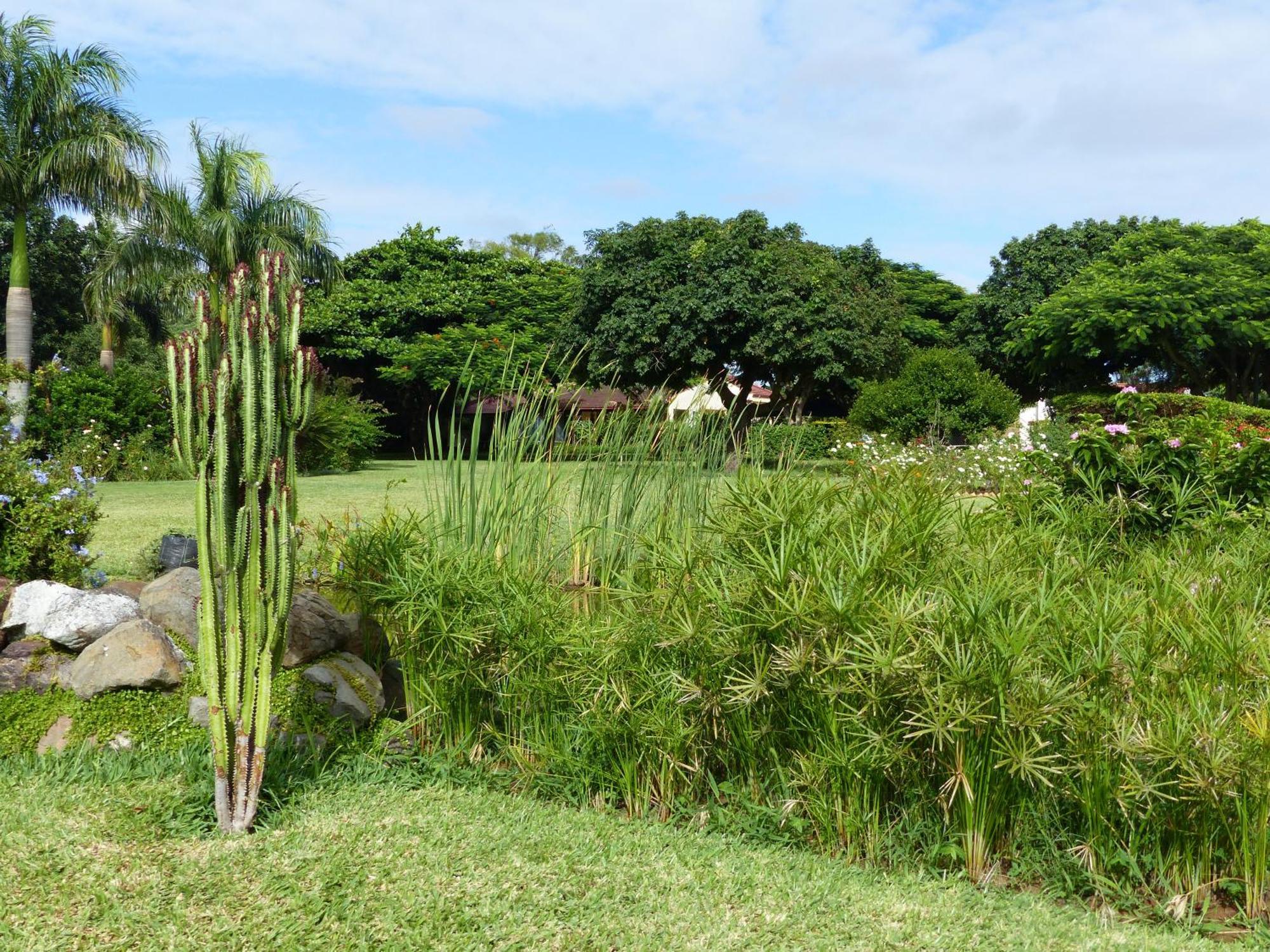 Ancha'S Oasis Hotel มาปูโต ภายนอก รูปภาพ